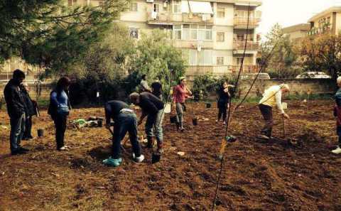 Bari, una piccola campagna tra i palazzi cittadini:  l'orto Effetto terra